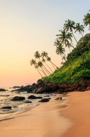 North Goa Sight Seeing Tour