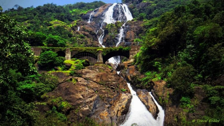 Dudhsagar Waterfall Trip in Goa gallery