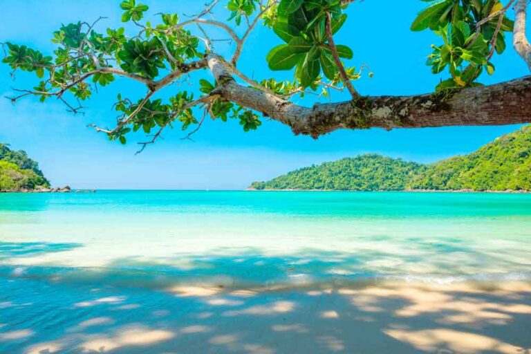 North Goa Tour